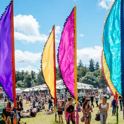Indian Summer Festival Flag 10% Off