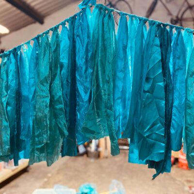 raggle taggle under the sea