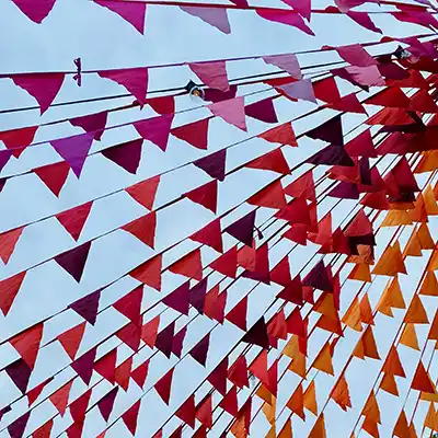 SALE - Ex-Rental - Bunting